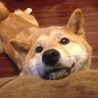 おきー