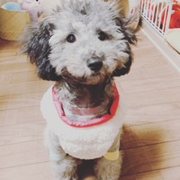 パン