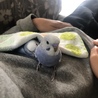 ようこそ我が家へ。。よろしくね(*´꒳`*)