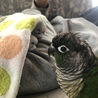 はじめましてのお兄ちゃんです。。やっぱり動じない笑 