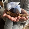 よく食べる♪