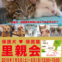 入間ジョンソンタウン里親会