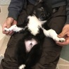 の写真