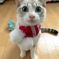 スイ