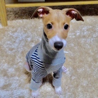 もなか