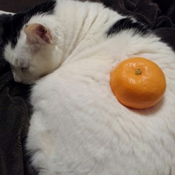 あけましておめでとうございます