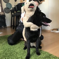 影丸