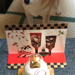 HAPPY　NEW   YEAR(*˘︶˘*)