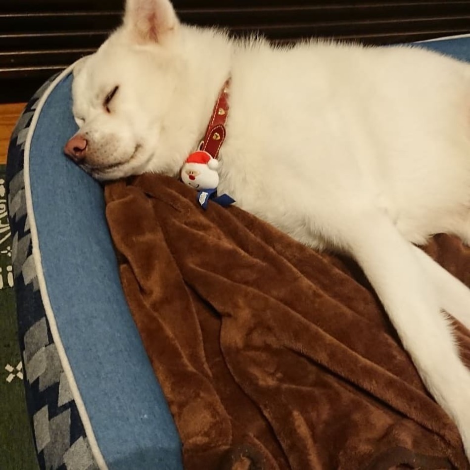 あきのカバー写真