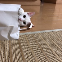 福