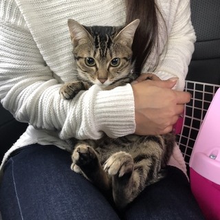 人が大好き お外が大嫌いな ランちゃんです。