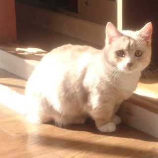 可愛がってくださる方募集中です。