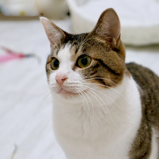 新たなご家族ができました♪