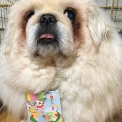 僕も欲しい |(￣3￣)|