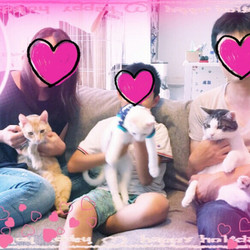 正式譲渡♥チャークン（チャタロウ）