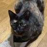 久々の投稿。
