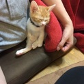 再度募集！お願いします。