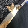 の写真