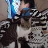 の写真