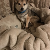 コラッセ