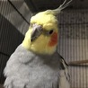 なごみ