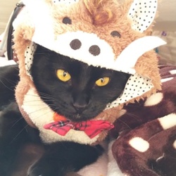 明けましておめでとうございます(^-^)