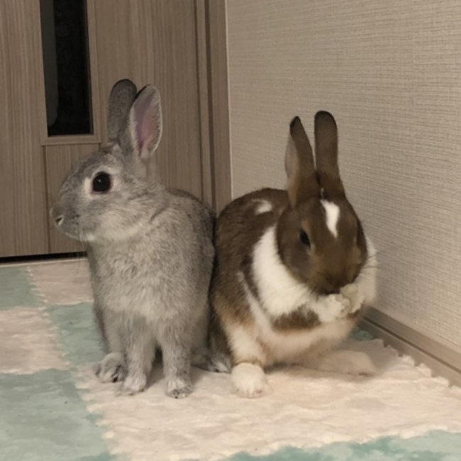 aim0524のカバー写真