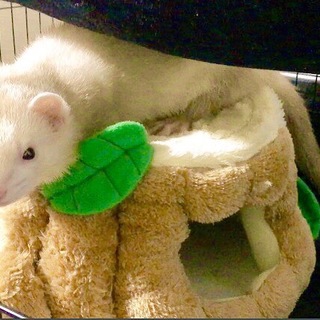 沢山のご応募いただき誠にありがとうこざいました！