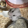 掃除用のスプーンを齧ります