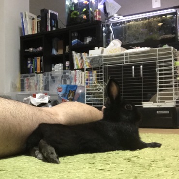 足の横が好きなのです