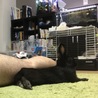 足の横が好きなのです