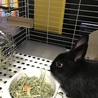 ギネスのお部屋