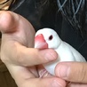 リラ5150 さん