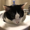 の写真