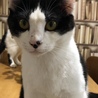 の写真