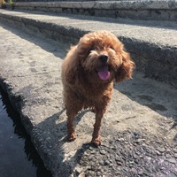 メリー