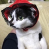 ちくわブ