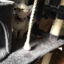 大きくなったよ