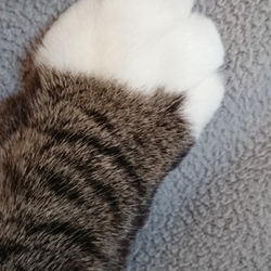 「おやつの気配を察知？」サムネイル2