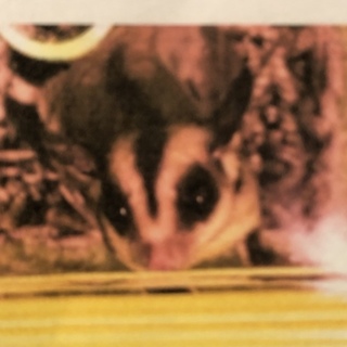 一旦募集終了します。