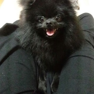 応募者多数の為応募締め切らせていただきます。