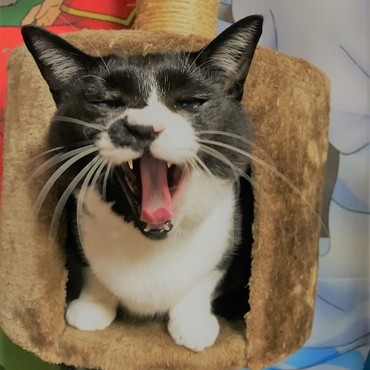 明けましておめでとうございます！　今年も元気に　斑です♫