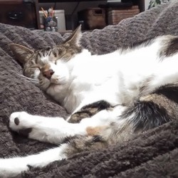 明けましておめでとうございます