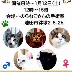 みるくの会里親会