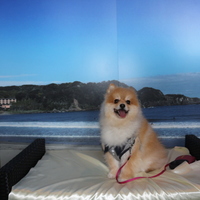 高橋涼海