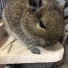 名前を覚えてくれました