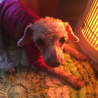 小顔で可愛い女の子