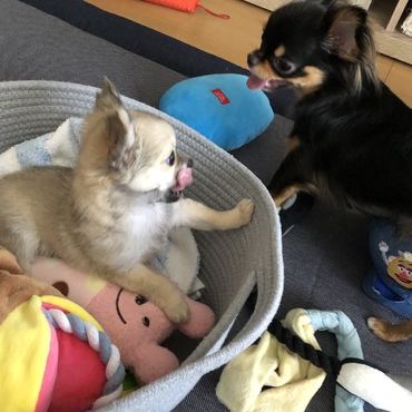 おにいちゃん遊んでー☺︎