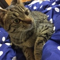数日前よりさまよってました