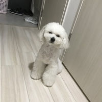 なると
